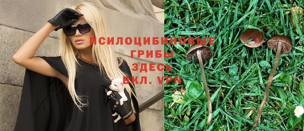 спиды Касимов