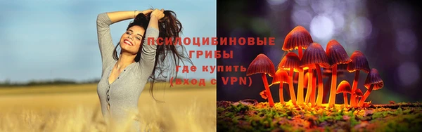 МДПВ Карпинск