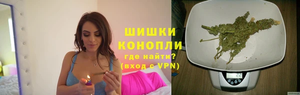 МДПВ Карпинск