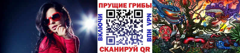 Купить где  Буйнакск  Галлюциногенные грибы Cubensis 